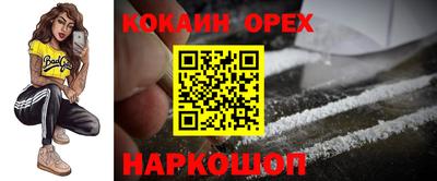 герыч Кингисепп