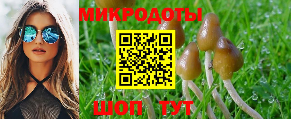 Псилоцибиновые грибы ЛСД Озёры