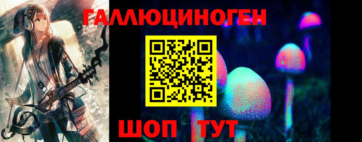 Галлюциногенные грибы Cubensis  Вход с VPN  Озёры 